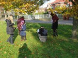 Pažintinė ekskursija po senąjį dvaro parką