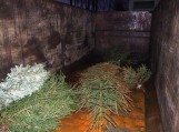 Akcija „Kalėdinė eglutė - namų šilumai“ konteineris pustuštis Akcija „Kalėdinė eglutė - namų šilumai“ konteineris pustuštis