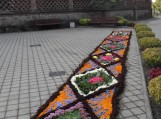 Švėkšniškiai rudenį pasitinka žydinčių gėlių kilimu