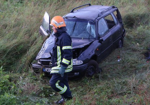 Saugodamas katiną nuvažiavo nuo kelio ir vertėsi