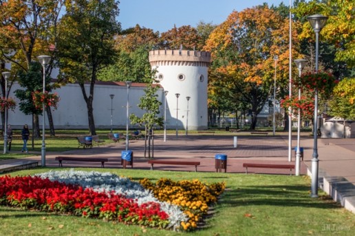 Tauragės pilis