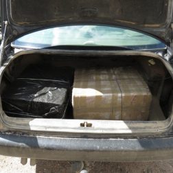 Nuotraukos Tauragės AVPK