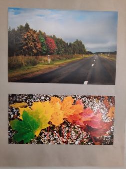 Nuotraukos Šilutės F. Bajoraičio viešosios bibliotekos