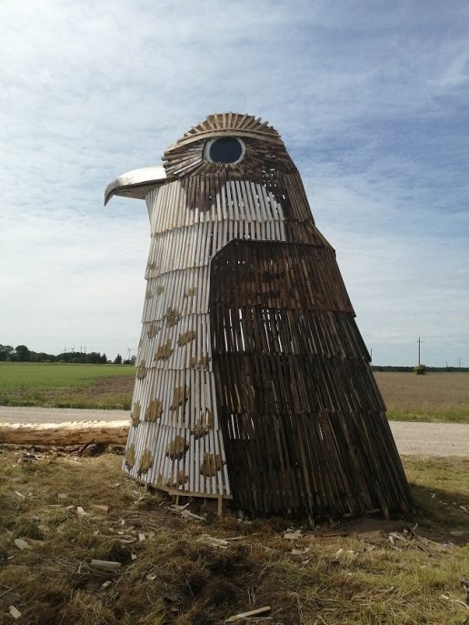 Nuotraukos Violetos Astrauskienės