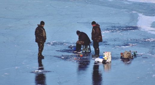 Nuotrauka Šilutės r. savivaldybės