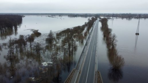 Nuotrauka Šilutės r. savivaldybės