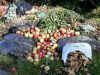 Per metus kiekvienas Lietuvos gyventojas išmeta apie 50 kg maisto atliekų