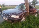 16-metis automobilį įvairavo į medį