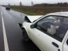 Į stirnas užsižiūrėjęs vairuotojas sudaužė du automobilius Į stirnas užsižiūrėjęs vairuotojas sudaužė du automobilius
