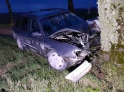 Girtų jaunuolių kelionę nutraukė medis