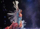 Užburiantis flamenko šokio spektaklis „Svajonės“ su Sandra Domingo jau Šilutėje