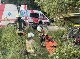 Atsitrenkęs į medį žuvo vairuotojas, vaikas ir moteris sužeisti