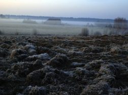 Šiemet pratęstas laukų tręšimo srutomis laikotarpis