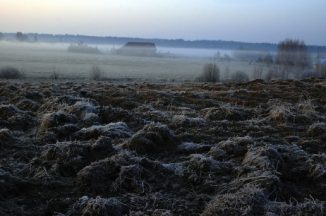 Įsigalioja nauji žemės verčių žemėlapiai