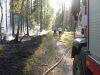 Sausa miško paklotė grasina gaisrais neatsargiems uogautojams