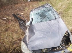 Į medį trenktasi net 4 metrų aukštyje