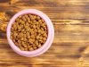 Kodėl Josera kačių maistas taip mėgiamas tarp kačių šeimininkų?