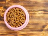 Kodėl Josera kačių maistas taip mėgiamas tarp kačių šeimininkų?