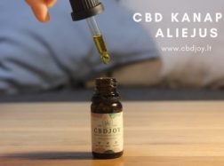 Kaip CBD kanapių aliejus veikia jūsų organizmą?