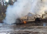 Rudynų miške sudegė avariją patyręs automobilis