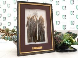 „Sidabrinės nendrės“ premijai pristatytos dvi kandidatūros