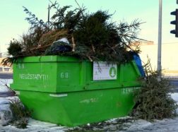 Nupuoštas kalėdines eglutes paverskime namų šiluma