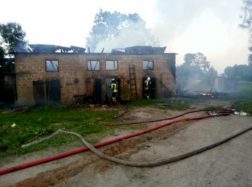 Kiaules nuo ugnies gelbėjo mėtydami jas pro langą