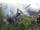 Ugniagesiai įspėja: nedeginkite pernykštės žolės!