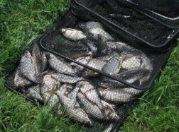 Brakonieriaujantiems pagėgiškiams ir vėl nepasisekė