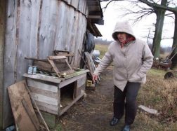 Nuošalios sodybos gyventojai kenčia nuo vilkų ir dėl prasto susisiekimo