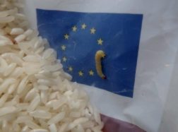 ES maisto parama skurstantiems su kirminais