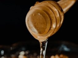 Medaus rūšys – nuo pavasarinio iki rudeninio medaus