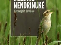 Kaip meldinė nendrinukė rusniškius suintrigavo