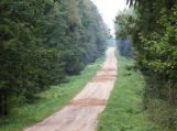Miško kelių savininkai turi teisę uždaryti kelią