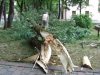 Perspėjimas dėl stipraus vėjo Perspėjimas dėl stipraus vėjo