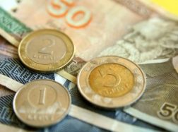 Kitais metais augs įvairios išmokos