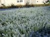Šilumą pakeis lietus, galime sulaukti ir šalnų Šilumą pakeis lietus, galime sulaukti ir šalnų
