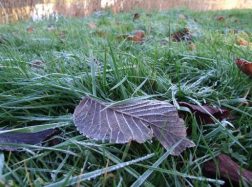 Šią savaitę vyraus ūkanoti orai