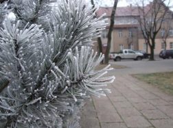 Orų prognozė Šv. Kalėdoms