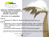 Kovo 11-osios – Lietuvos nepriklausomybės atkūrimo dienos paminėjimas Šilutėje