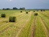 Žemės savininkai jau gali sužinoti, kiek mokės žemės mokesčio Žemės savininkai jau gali sužinoti, kiek mokės žemės mokesčio