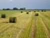 Paslaugų kvitai padės efektyviau kovoti su nelegaliu darbu žemės ūkyje