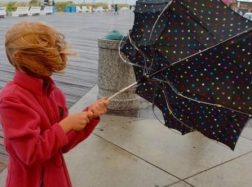 Ugniagesiai gelbėtojai perspėja dėl vėjo, elektrikai – kaip elgtis esant gedimui elektros linijoje