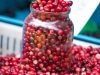 Spanguoliauti – tikrai dar ne laikas Spanguoliauti – tikrai dar ne laikas