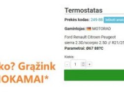Kodėl per ilgai šyla automobilio variklis?