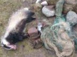 Sulaikytas „etatinis“ brakonierius