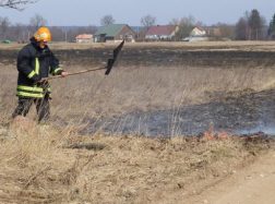 Žolės gaisrų mažėja, bet pavojus išlieka: šį pavasarį jau nukentėjo 3 žmonės, ugnis pasiekė pastatus