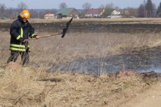 Žolės gaisrų mažėja, bet pavojus išlieka: šį pavasarį jau nukentėjo 3 žmonės, ugnis pasiekė pastatus