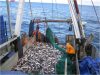 Aptarti žvejams rūpimi klausimai