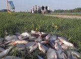 Vienam iš dalyvių pavyko pagauti beveik 11 kilogramų žuvies